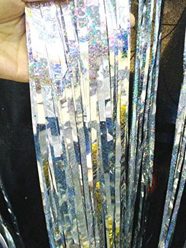 GOER 3.2 ft x 9.8 ft Metallic Tinsel Foil Fringe Curtains for Party Photo Backdrop Wedding Decor (1 Pack, Shiny Silver)