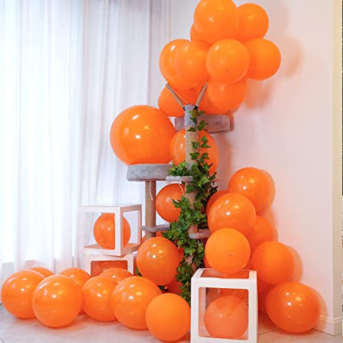 Orange Balloons 12 inch, 100 Pack Burnt Orange Latex Balloons Helium Quality for Halloween Birthday Wedding Baby Shower Party Decorations (with Orange Ribbon)