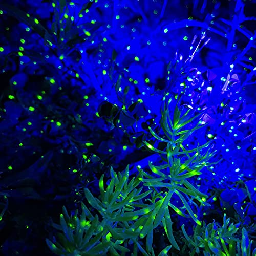 Lunmore Firefly Garden Lights Star Projector Laser Christmas Lights