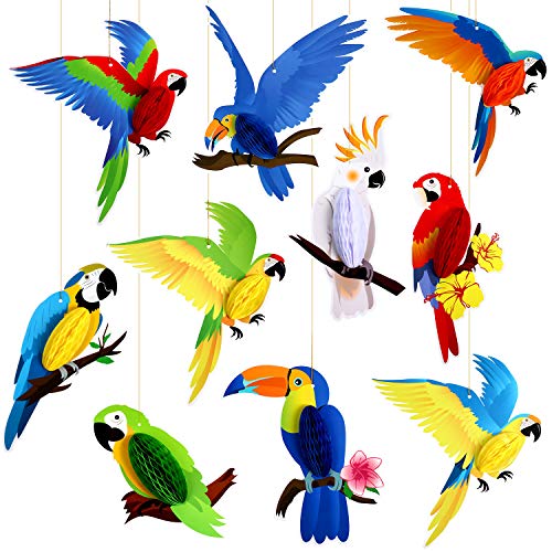 10 Pieces Tropical Birds Honeycomb Paper Cutouts, Parrot Honeycomb, Hawaiian Summer Beach Luau Party Hanging Decorations for Tiki Bar Home Classroom Supplies