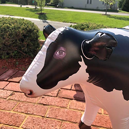 Jet Creations Cow Inflatable Animal Baby 37 inch Long Great for Pool Party Decoration, Birthday Kids and Adult an-Cow