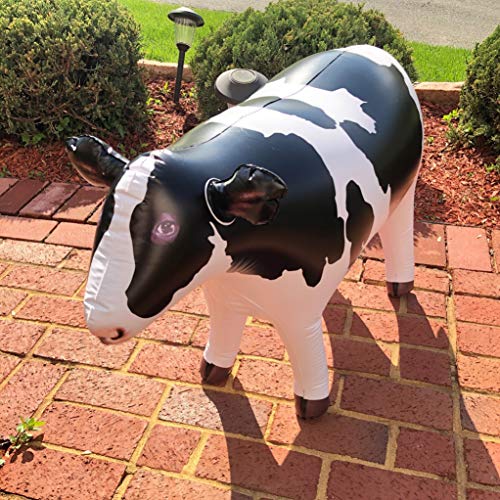 Jet Creations Cow Inflatable Animal Baby 37 inch Long Great for Pool Party Decoration, Birthday Kids and Adult an-Cow