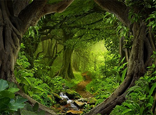 Leowefowa 7x5ft Jungle Forest Backdrop Spring Enchanted Forest Dreamland Dirt Road Background for Photography Lush Woods Kids Adults Shoot Studio Props Wild One VBS Jungle Safari Bday Party Banner