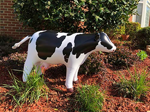 Jet Creations Cow Inflatable Animal Baby 37 inch Long Great for Pool Party Decoration, Birthday Kids and Adult an-Cow