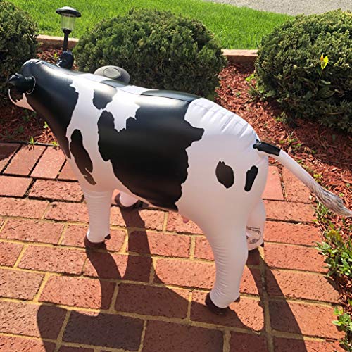 Jet Creations Cow Inflatable Animal Baby 37 inch Long Great for Pool Party Decoration, Birthday Kids and Adult an-Cow